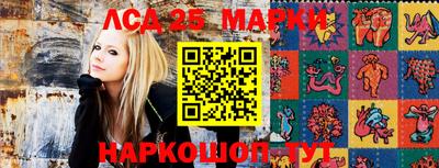 марки nbome Бийск