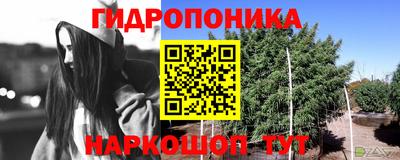соль курить ск Беслан
