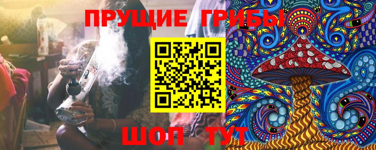 Псилоцибиновые грибы GOLDEN TEACHER  Вход с VPN  Кировск 